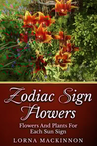 Zodiac Sign Flowers: Flowers And Plants For Each Sun Sign