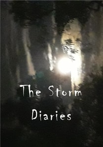 Storm Diaries