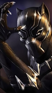 Os Segredos do Pantera Negra 