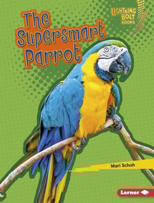 Supersmart Parrot