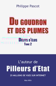 "Du goudron et des plumes". Délits d'élus Tome 2