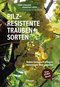 Pilzresistente Traubensorten