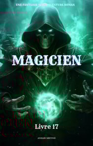Magicien:Une Fantaisie Magie Aventure Roman(Livre 17)