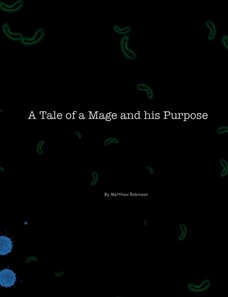 Tale of a Mage and His Purpose