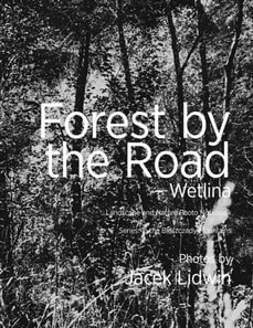 Forest by the Road - Wetlina.  Landscape and Nature Photo Notebook