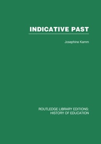 Indicative Past