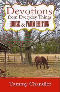 Devotions from Everyday Things: Horse & Farm Edition