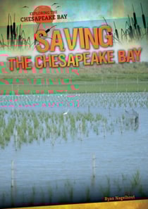 Saving the Chesapeake Bay