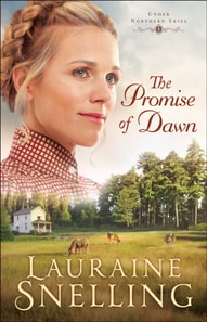 Promise of Dawn (Under Northern Skies Book #1)