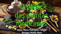 poder das plantas medicinais
