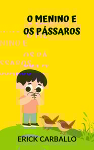 O menino e os pássaros