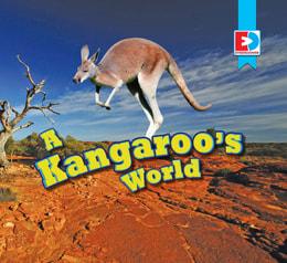 Kangaroo's World