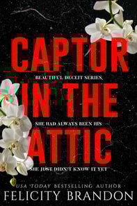 Captor In The Attic
