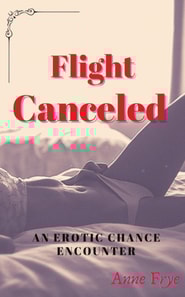 Flight Canceled: An Erotic Chance Encounter