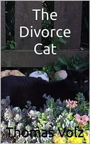Divorce Cat