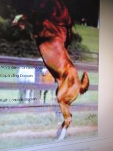 Adventures Of Gran Arian Expanding Domain