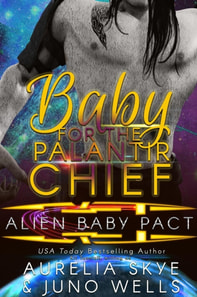 Baby For The Palantir Chief