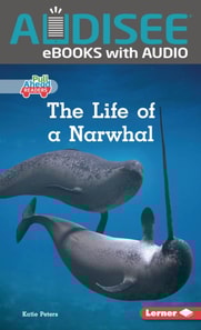 Life of a Narwhal