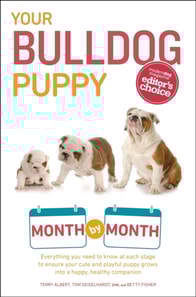 Your Bulldog Puppy Month by Month