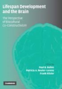 Lifespan Development and the Brain