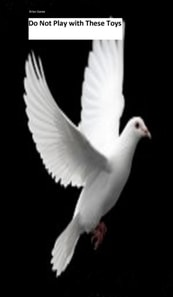 Do Not Play With These Toys