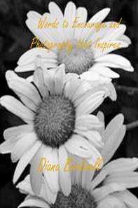 Words to Encourage and Photography that Inspires