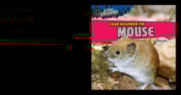 Your Neighbor the Mouse