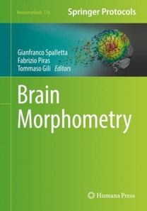 Brain Morphometry