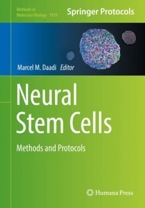 Neural Stem Cells