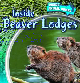 Inside Beaver Lodges