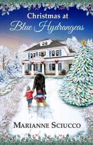 Christmas at Blue Hydrangeas