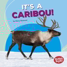 It's a Caribou!