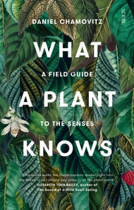 What a Plant Knows