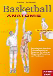 Basketball Anatomie