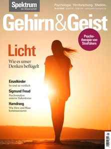 Gehirn&Geist 1/2025 Licht