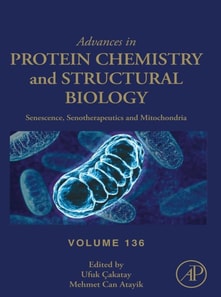 Senescence, Senotherapeutics and Mitochondria