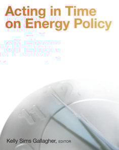 Acting in Time on Energy Policy