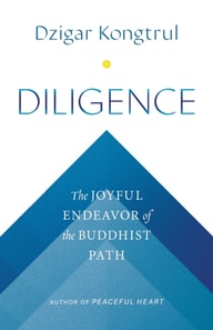 Diligence