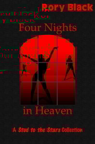 Four Nights in Heaven, A Stud to the Stars Collection