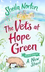 Vets at Hope Green: Part Four