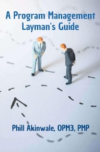 Program Management Layman's Guide