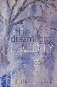 Dreamlight Lucidity