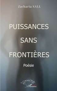 Puissances sans frontières