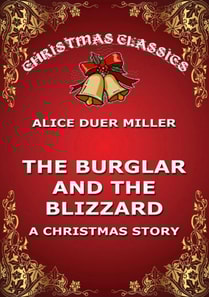 Burglar And The Blizzard