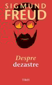 Despre dezastre