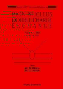 Pion-nucleus Double Charge Exchange - 2nd Lampf Workshop