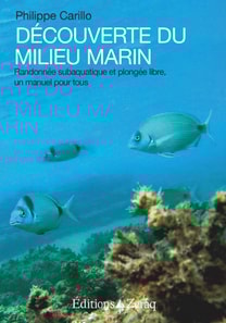 Découverte du milieu marin