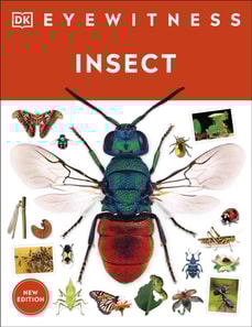 Insect