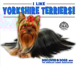 I Like Yorkshire Terriers!