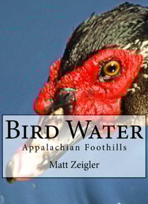 Bird Water: Appalachian Foothills